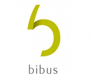 BIBUS RATP DEV Brest